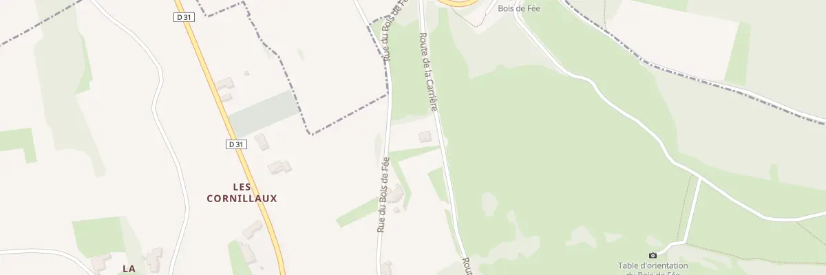 Plan du 455 Rte de la Carrière à Leynes