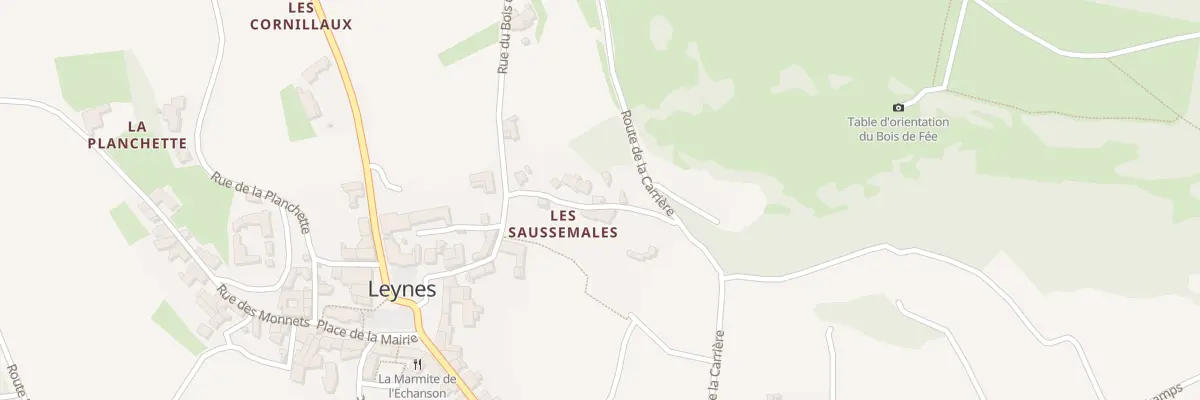 Plan du 5176 Bois de Fee à Leynes