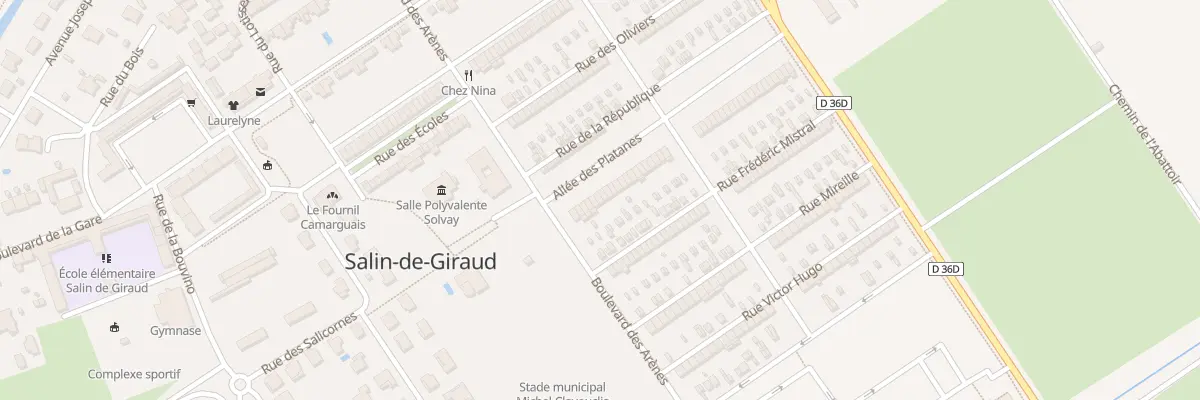 Plan du 35 Rue Frederic Mistral Salin à Arles