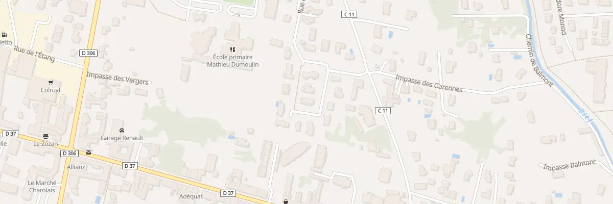 Plan du 19 Rue du Bois Fleuri à Belleville-en-Beaujolais