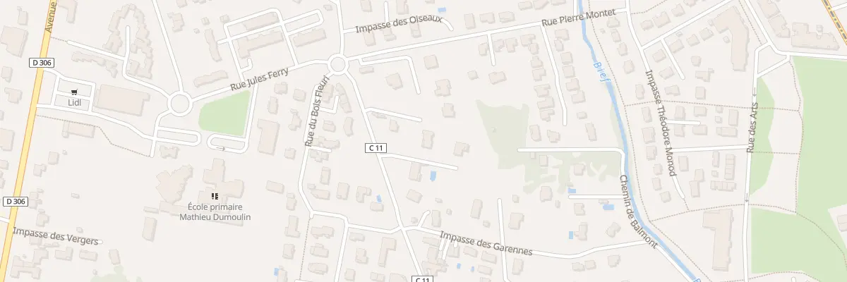 Plan du 384 Rue Jean Carron à Belleville-en-Beaujolais