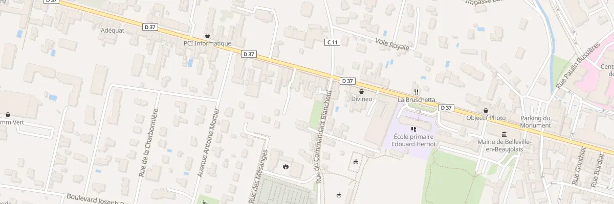 Plan du 135 Rue de la République à Belleville-en-Beaujolais