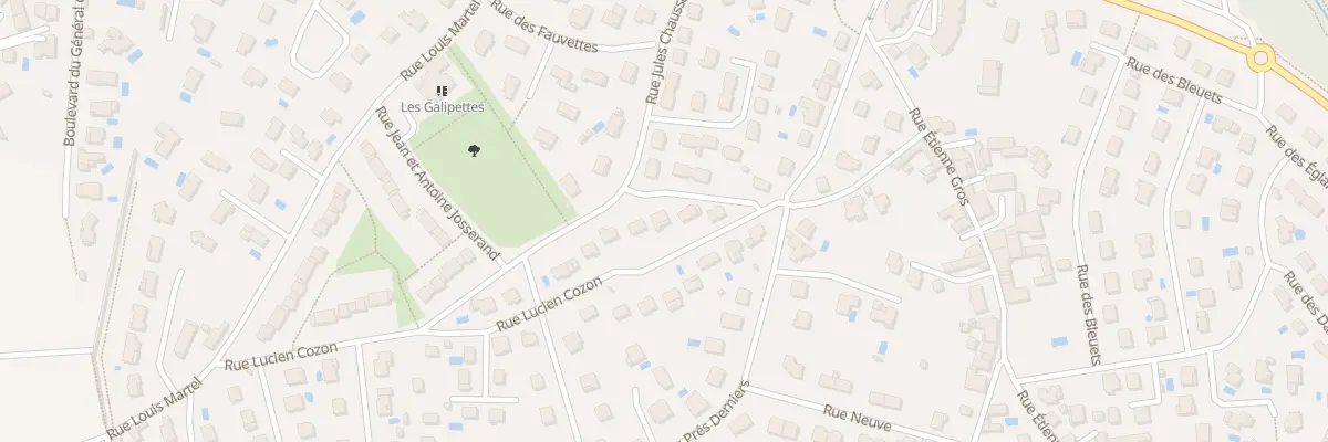 Plan du 20 Rue Lucien Cozon à Chaponost