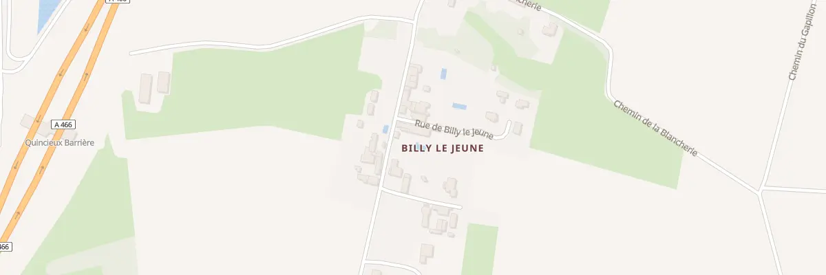 Plan du 142 Rue de Billy le Jeune à Quincieux