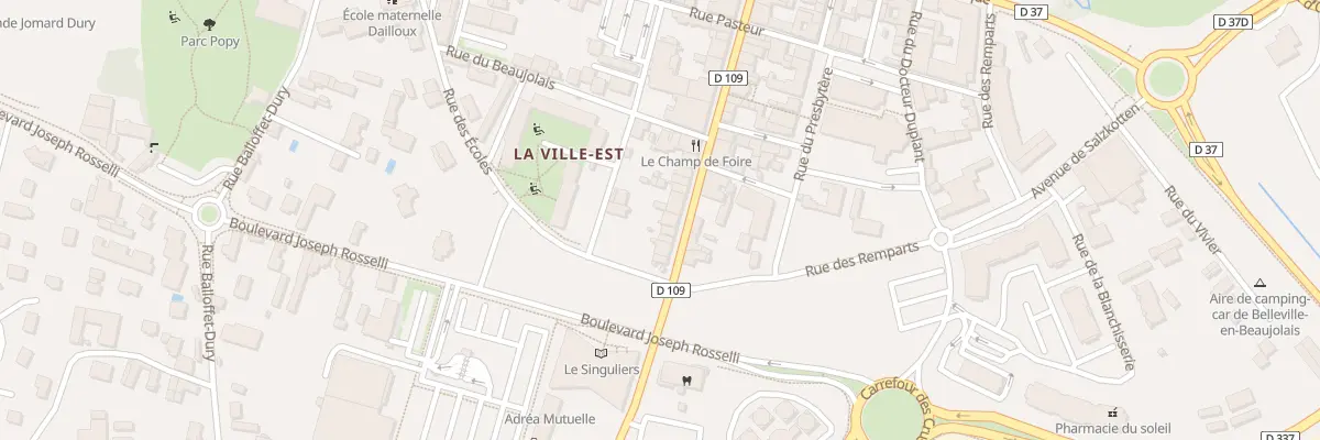 Plan du 38 Rue Victor Hugo à Belleville-en-Beaujolais