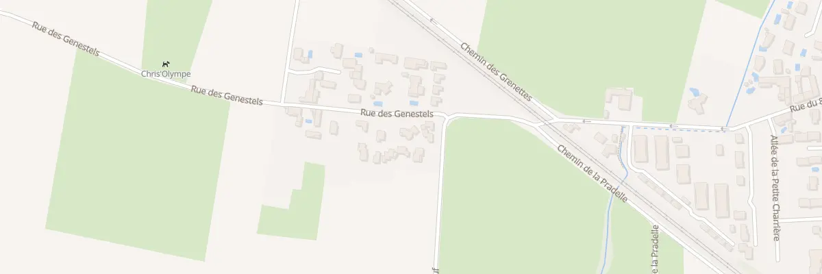 Plan du 165 Rue des Genestels à Quincieux