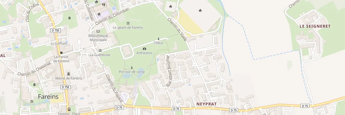 Plan du 45 Rue Albert Bouchet à Fareins