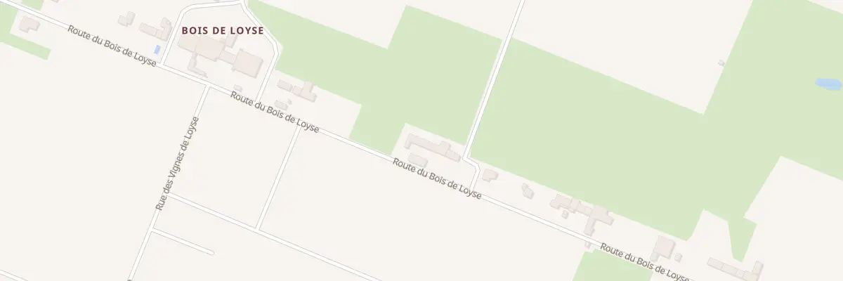 Plan du 1251 Rte du Bois de Loyse à La Chapelle-de-Guinchay