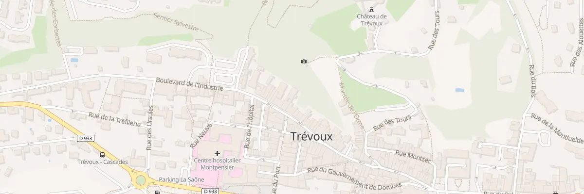 Plan du 66 Rue Grande Rue à Trévoux