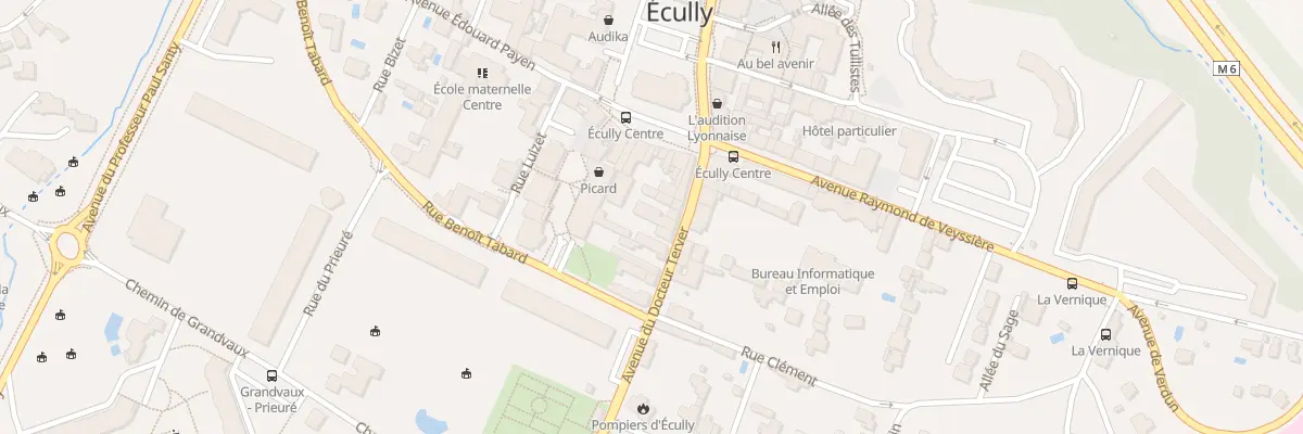 Plan du 6 Av du Doc Terver à Écully