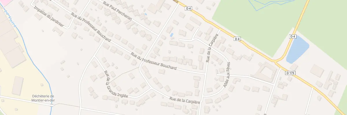 Plan du 49 Rue du Professeur Bouchard à La Porte du Der