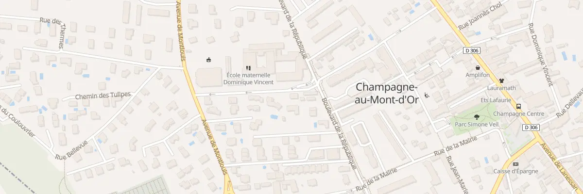 Plan du 19 Rue Pasteur à Champagne-au-Mont-d’Or