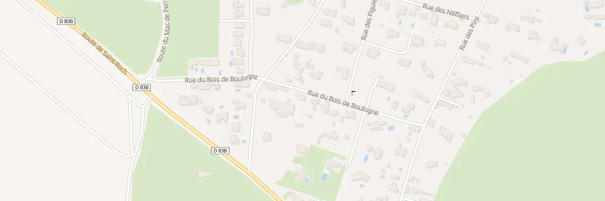 Plan du 219 Rue du Bois de Boulogne à Saint-Martin-de-Crau