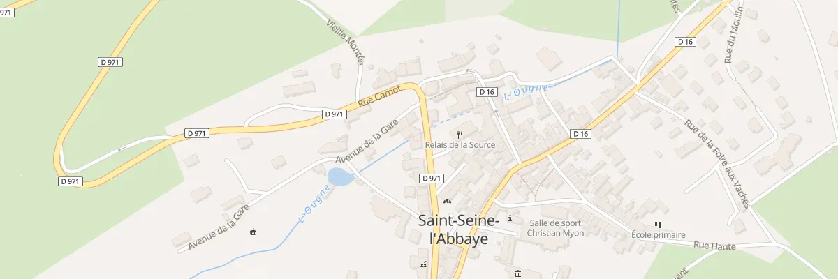 Plan du 6 Rue Carnot à Saint-Seine-l’Abbaye