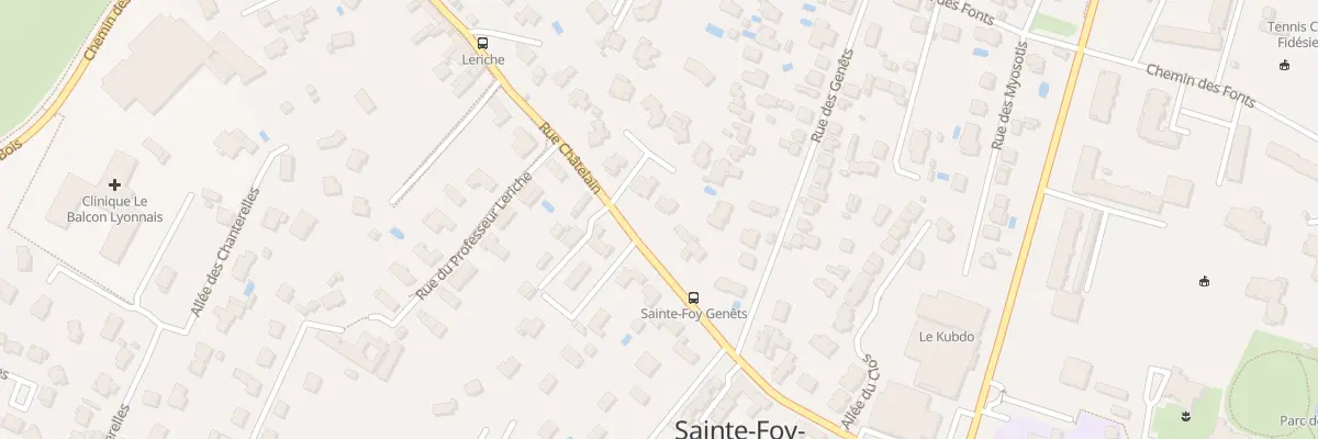 Plan du 78 Rue Chatelain à Sainte-Foy-lès-Lyon