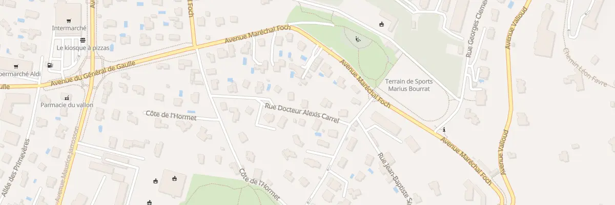 Plan du 6 Rue du Doc Alexis Carrel à Sainte-Foy-lès-Lyon