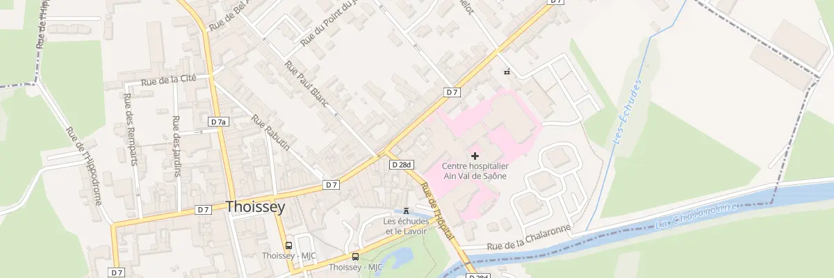 Plan du 6 Rue du Fbg des Dombes à Thoissey