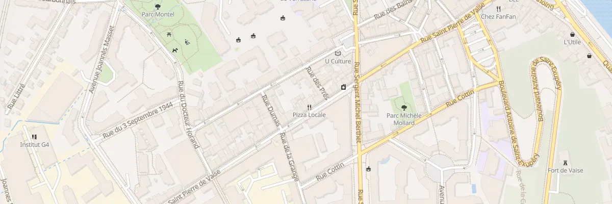 Plan du 50 Rue Saint Pierre de Vaise à Lyon 9e Arrondissement