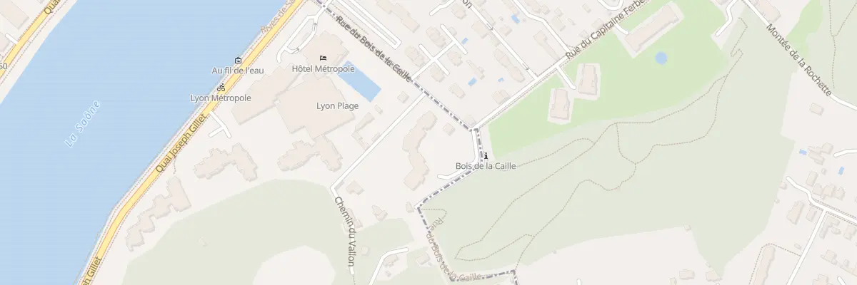 Plan du 31 Rue du Bois de la Caille à Lyon 4e Arrondissement