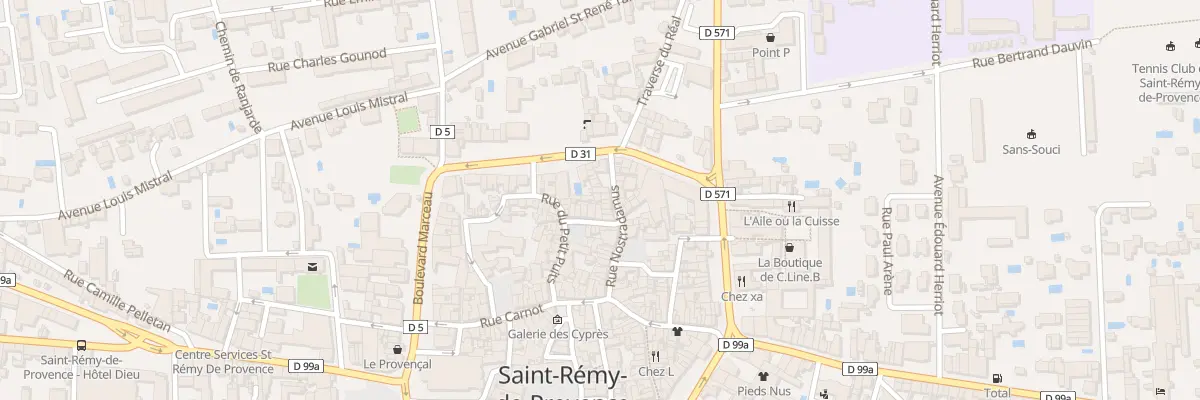 Plan du 9025 Rue Nostradamus à Saint-Rémy-de-Provence