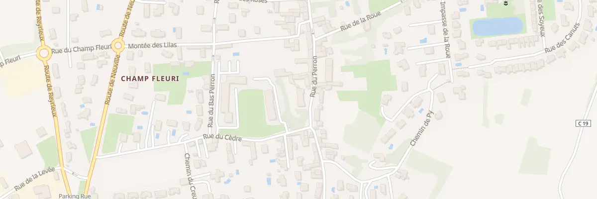Plan du 466 Rue du Perron à Genay