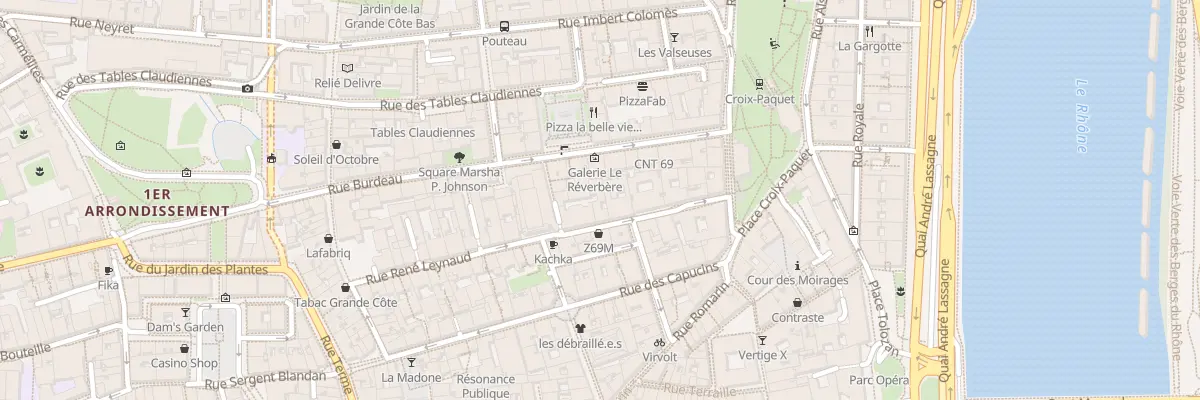 Plan du 31 Rue René Leynaud à Lyon 1er Arrondissement