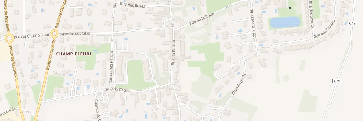 Plan du 451 Rue du Perron à Genay