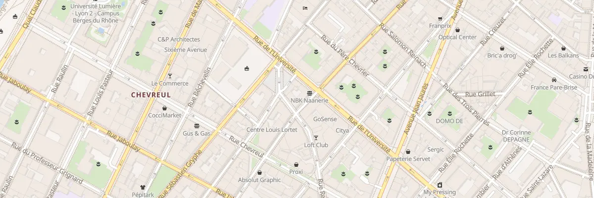 Plan du 3 Rue Renan à Lyon 7e Arrondissement