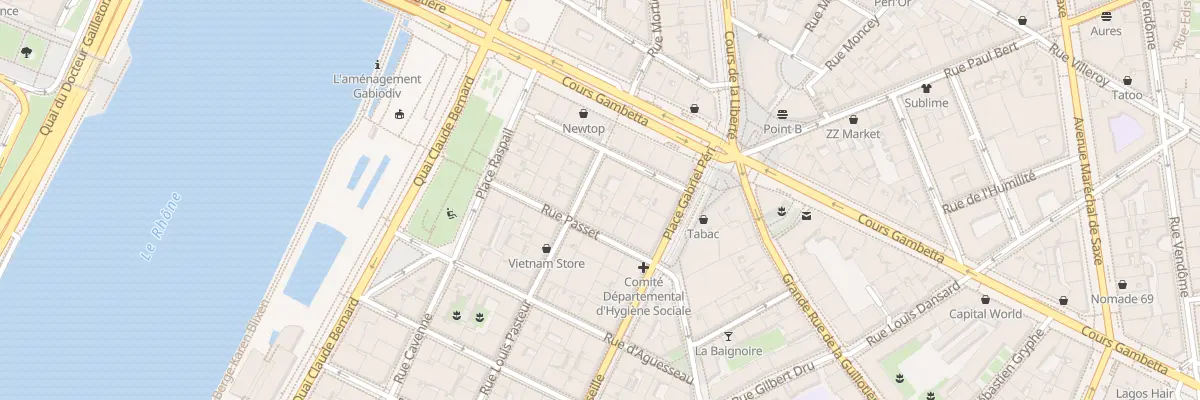 Plan du 9 Rue Pasteur à Lyon 7e Arrondissement