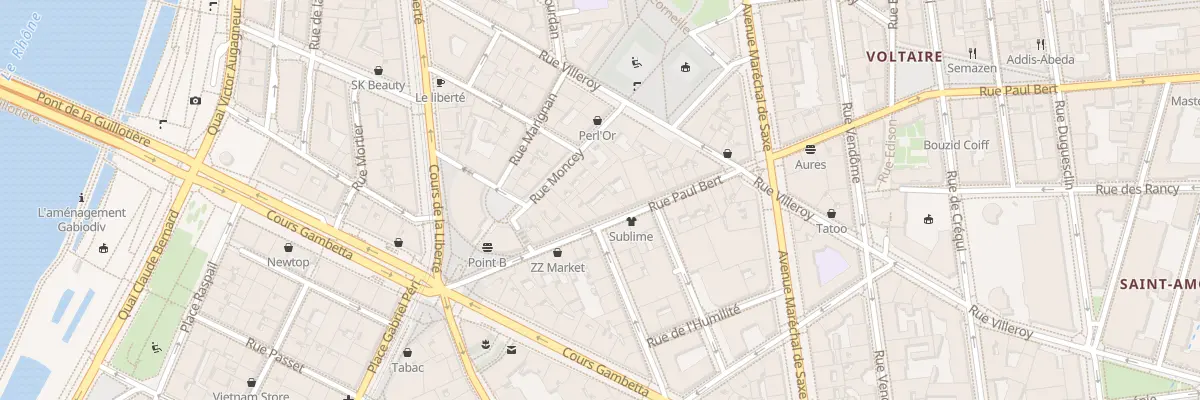 Plan du 19 Rue Paul Bert à Lyon 3e Arrondissement