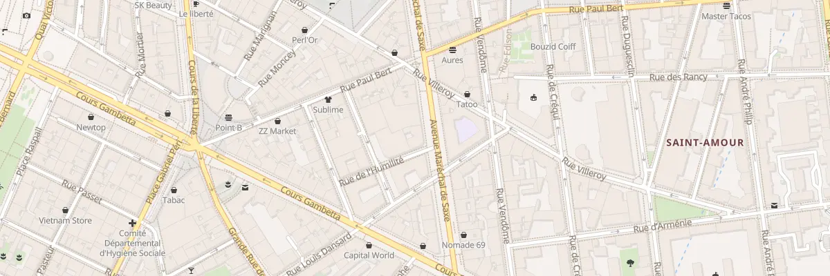 Plan du 142 Av Maréchal de Saxe à Lyon 3e Arrondissement