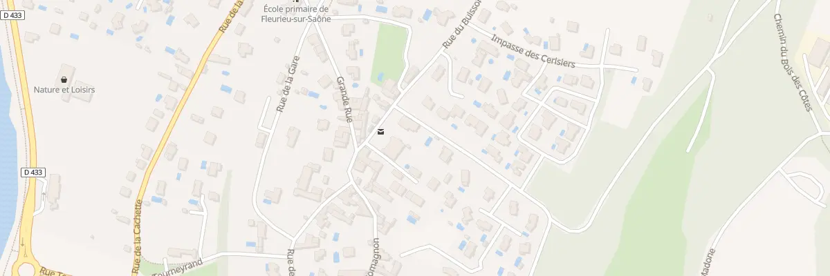 Plan du 61 Rue du Buisson à Fleurieu-sur-Saône