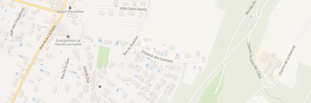 Plan du 47 Rue du Buisson à Fleurieu-sur-Saône
