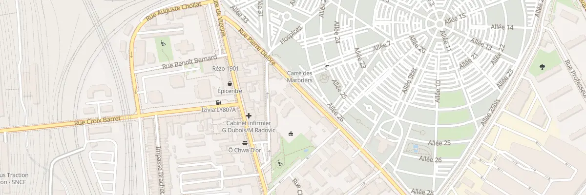 Plan du 30 Rue Pierre Delore à Lyon 8e Arrondissement