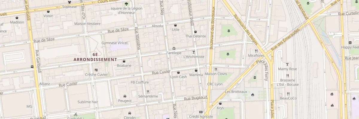 Plan du 167 Rue Cuvier à Lyon 6e Arrondissement