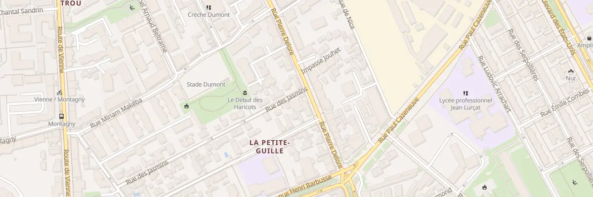 Plan du 100 Rue Pierre Delore à Lyon 8e Arrondissement