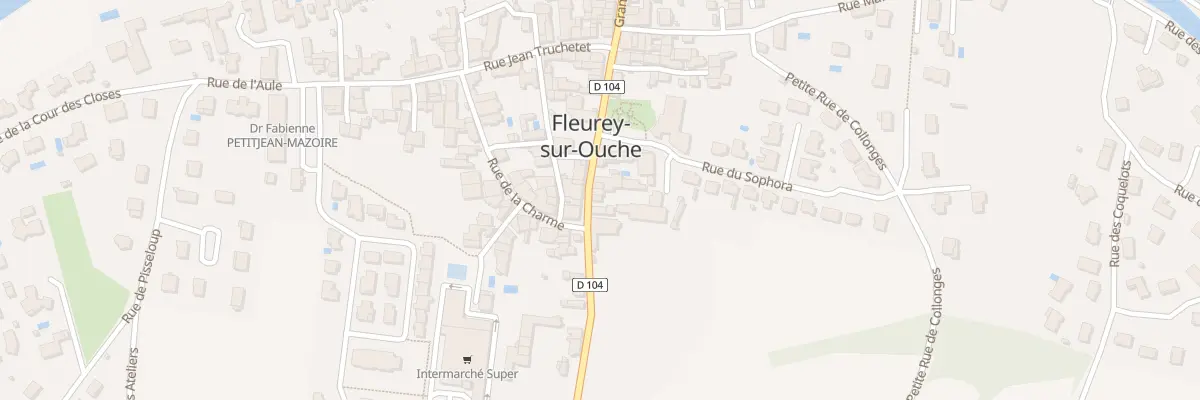 Plan du 21 Grande Rue du Haut à Fleurey-sur-Ouche