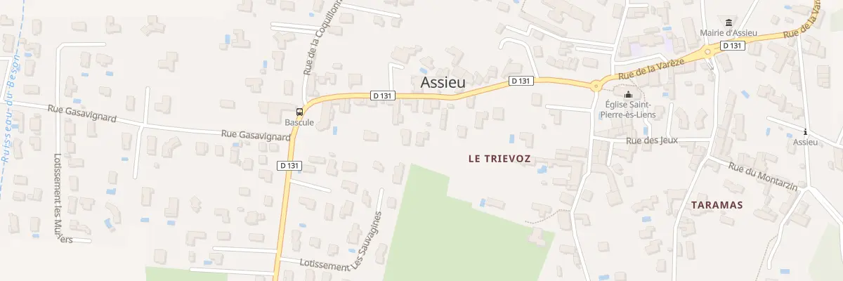 Plan du 207 Rue du Triévoz à Assieu