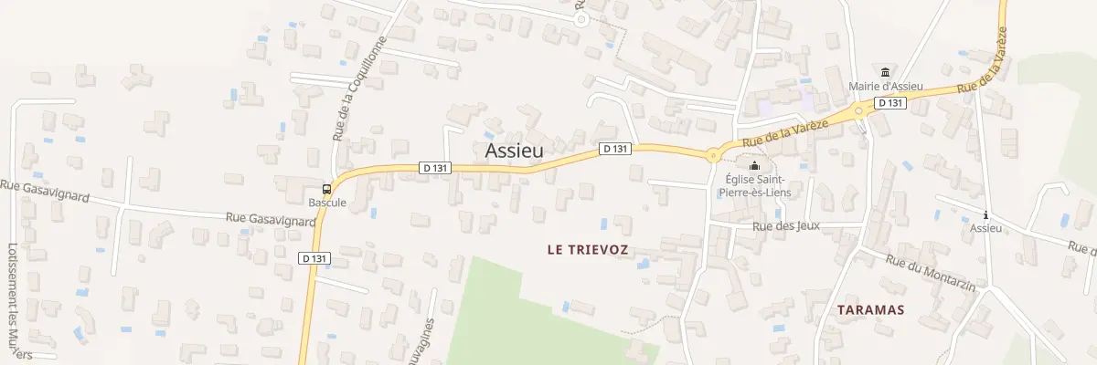 Plan du 155 Rue du Triévoz à Assieu