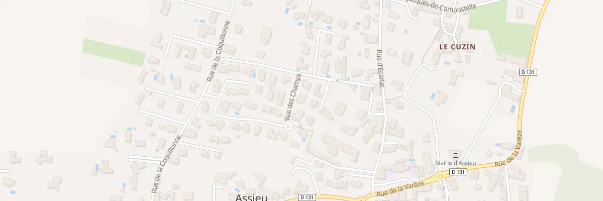 Plan du 45 Rue des Champs à Assieu
