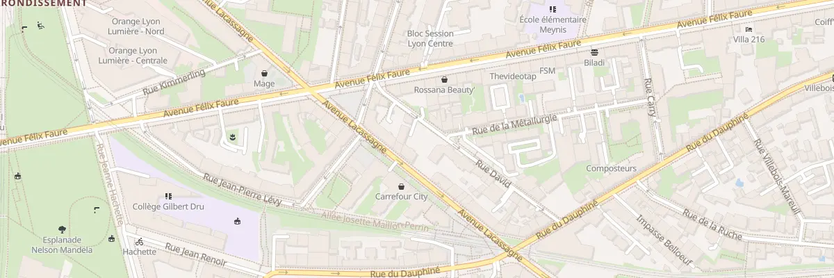 Plan du 41 Av Lacassagne à Lyon 3e Arrondissement