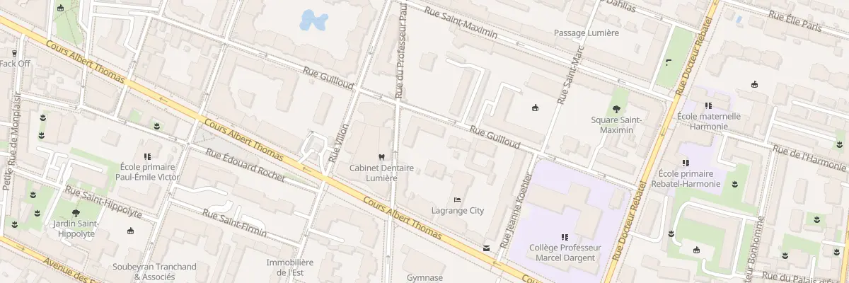Plan du 47 Rue Professeur Paul Sisley à Lyon 3e Arrondissement