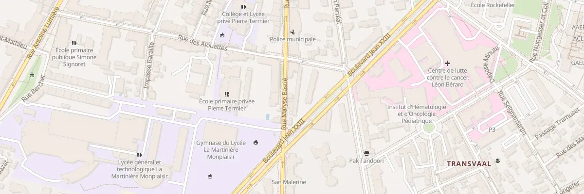 Plan du 23 Rue Maryse Bastié à Lyon 8e Arrondissement