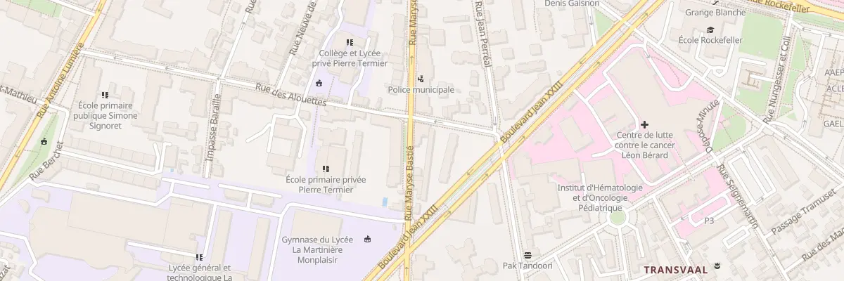 Plan du 19 Rue Maryse Bastié à Lyon 8e Arrondissement