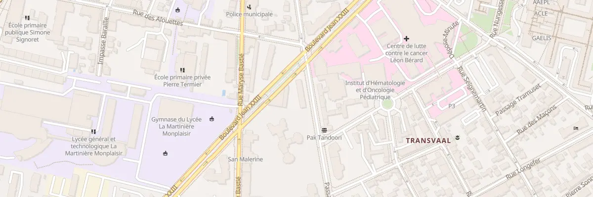 Plan du 10 Pas des Alouettes à Lyon 8e Arrondissement
