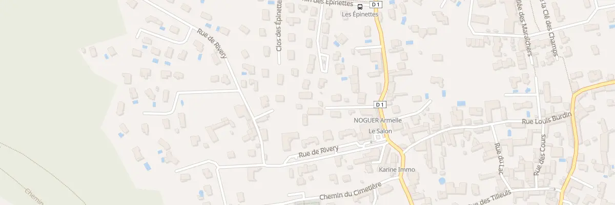 Plan du 17 Rte de St Trivier à Sathonay-Village