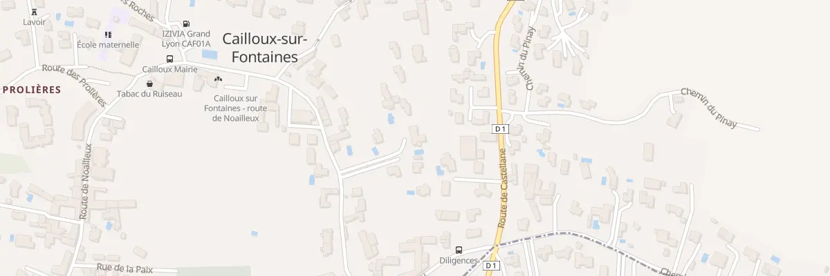 Plan du 196 Rue du Petit Guillermet à Cailloux-sur-Fontaines
