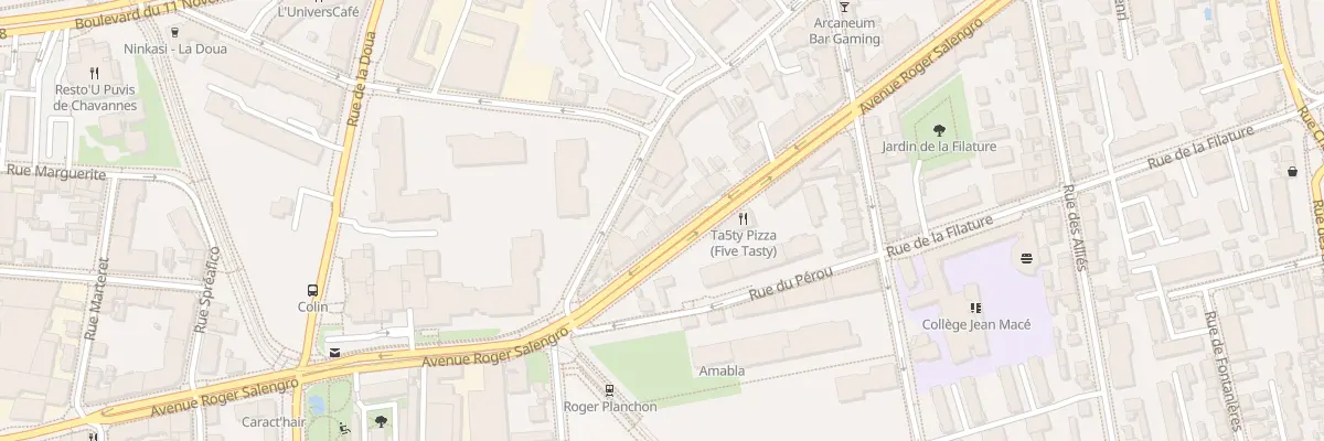 Plan du 91 Av Roger Salengro à Villeurbanne