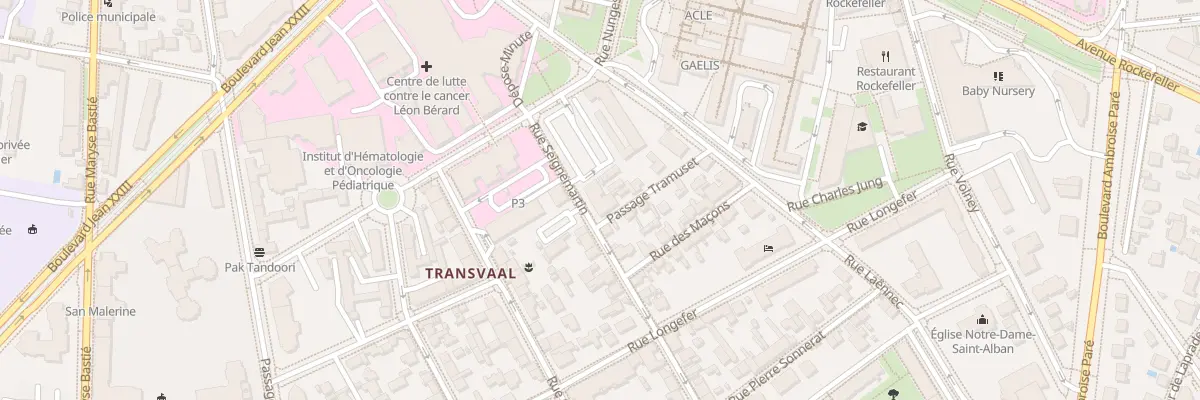 Plan du 13 Rue Seignemartin à Lyon 8e Arrondissement