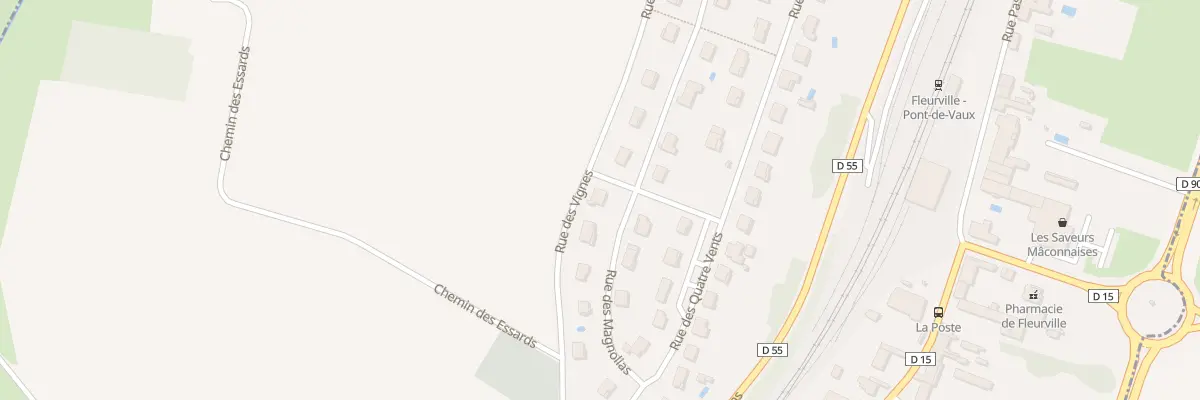 Plan du 1 Rue des Magnolias à Fleurville